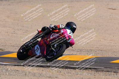 media/Oct-09-2022-SoCal Trackdays (Sun) [[95640aeeb6]]/Turn 12 (140pm)/